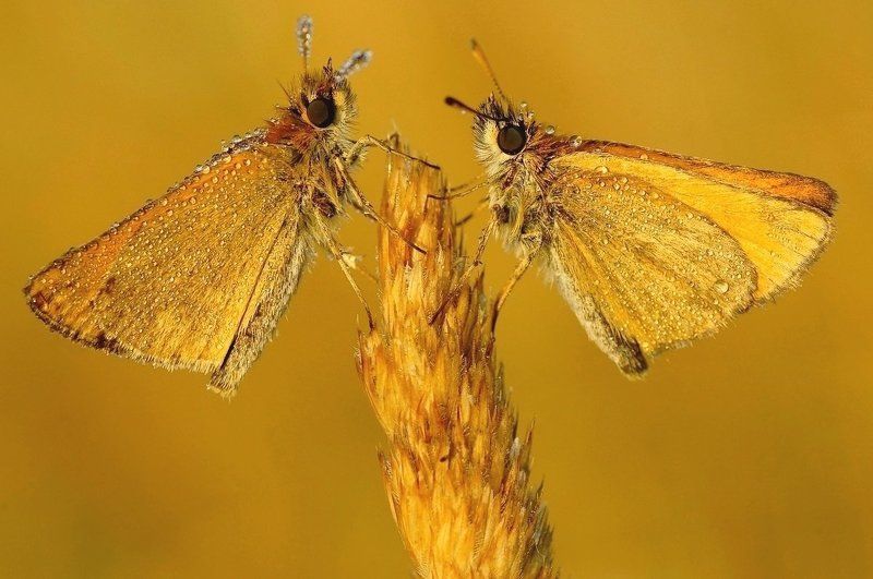 Утром знакомства фото превью