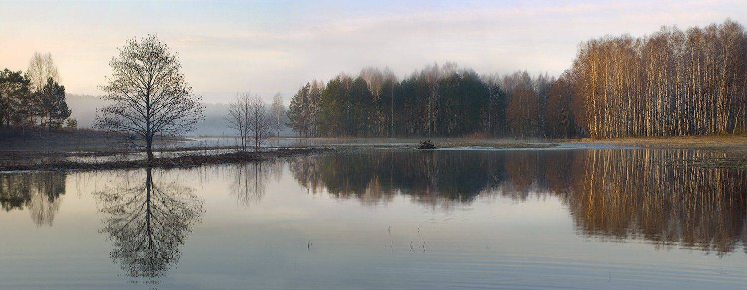 , Дмитрий Алексеев