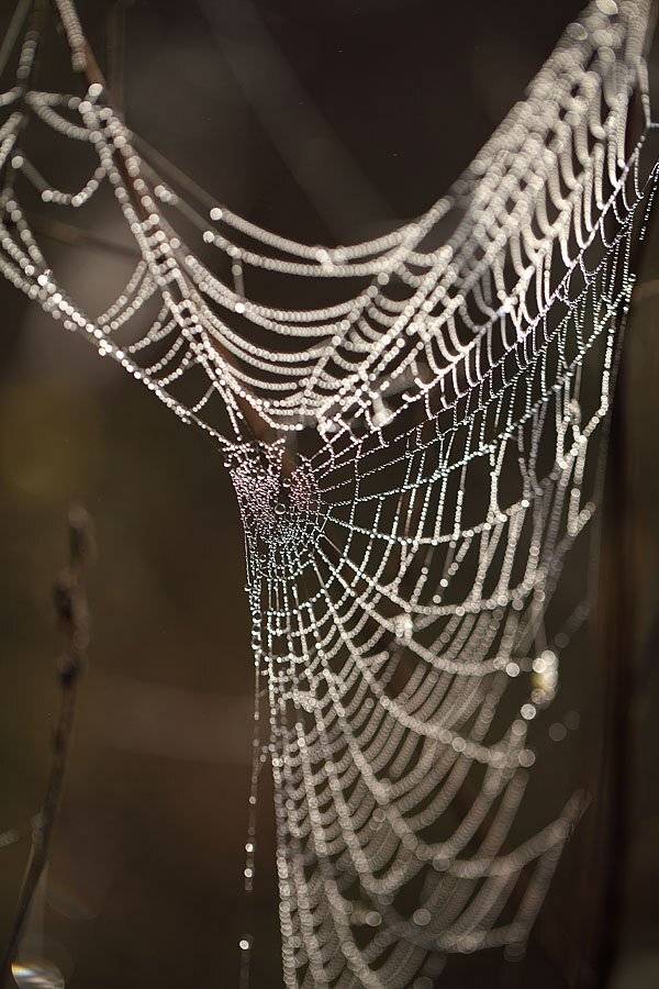 , Сергей Таланов