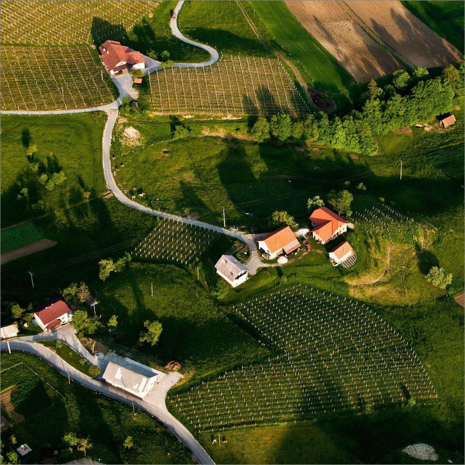 Словения, Нетушки