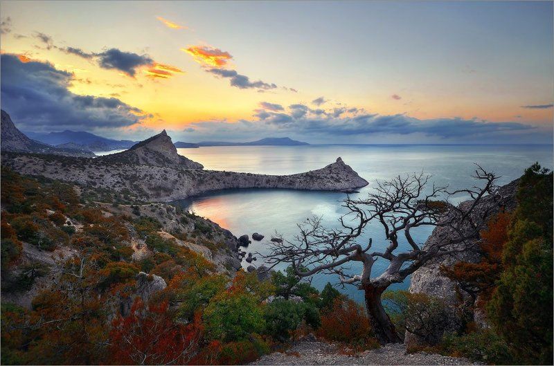 Рассвет Нового Света фото превью