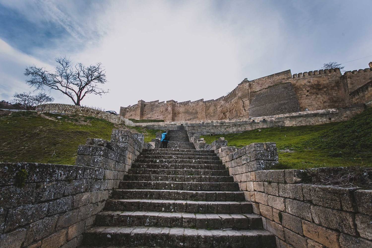 , Шапиев Магомед