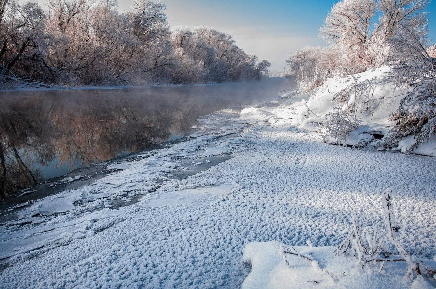 , Анатолий Зверев