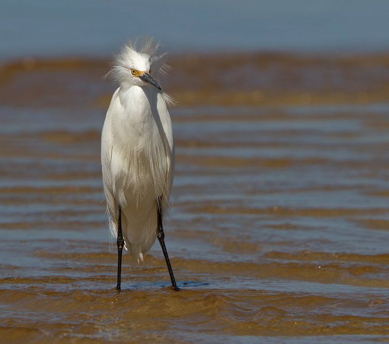 Хмурое утро фото превью