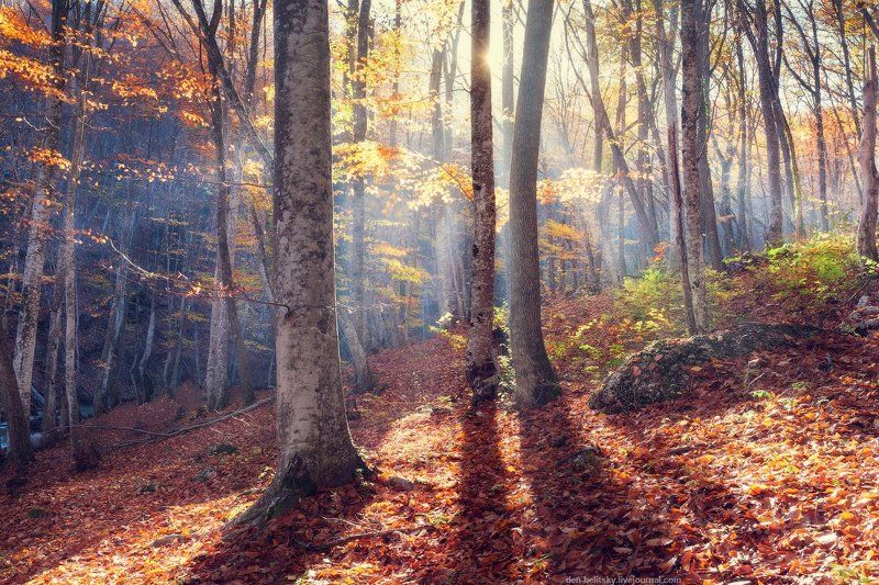 Осень в Большом каньоне Крыма фото превью