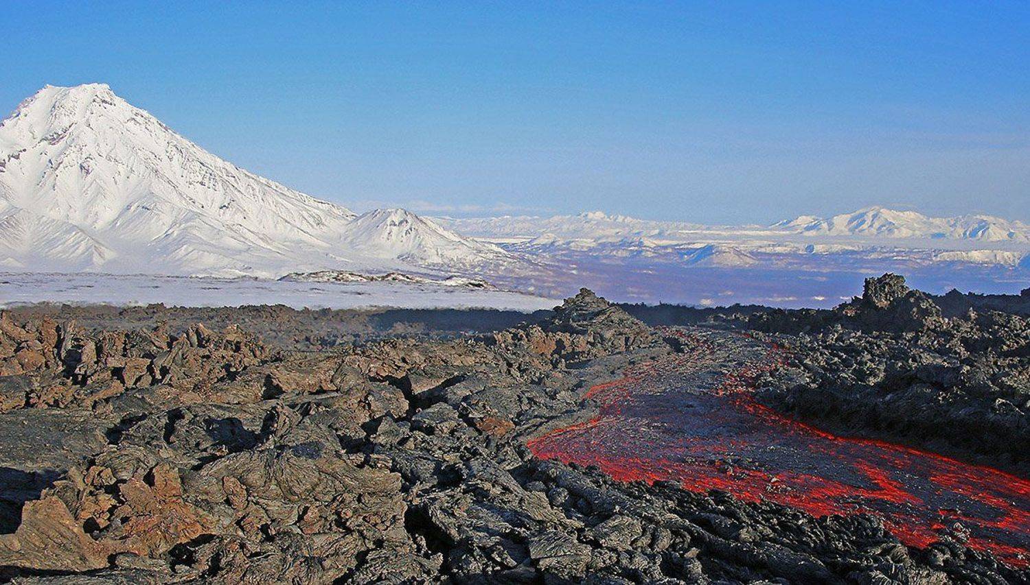 , Павлов Александр