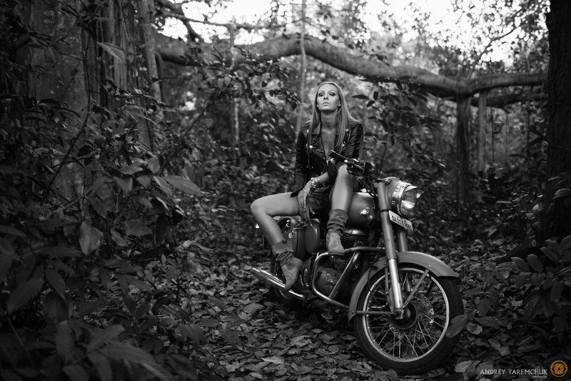 энфилд фото превью