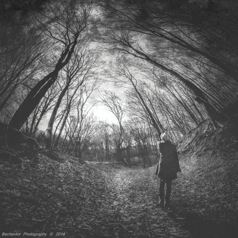 Say Goodbye XIX фото превью