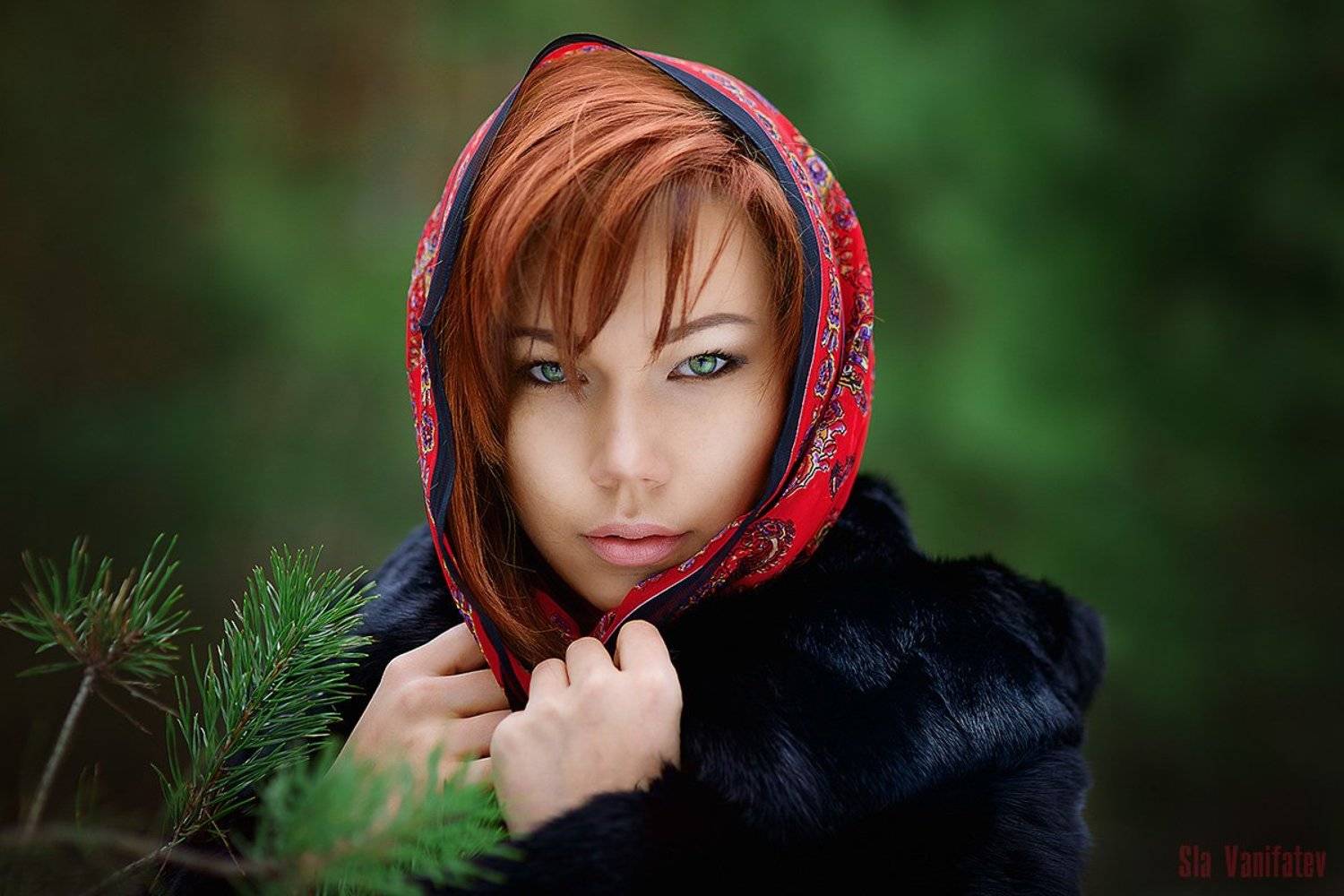 , Вячеслав Ванифатьев