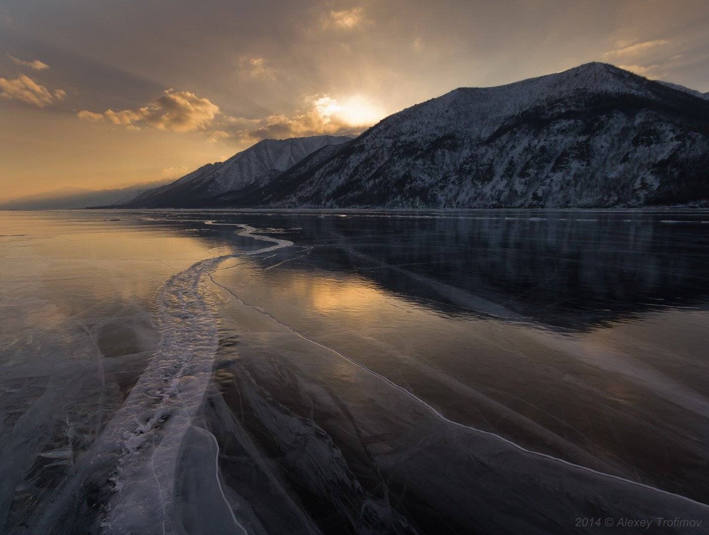 , Алексей Трофимов