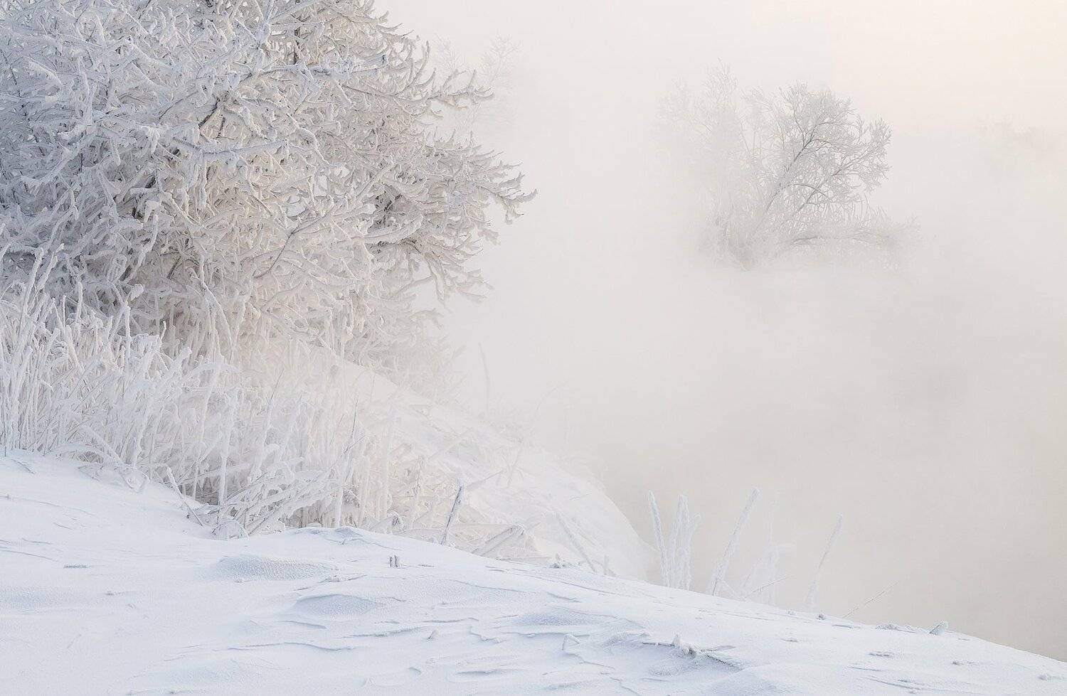 , Лещёнок Александр