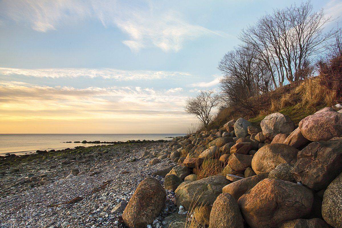 , Игорь Дубровский