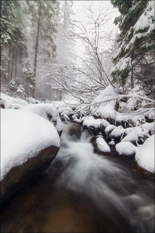 Прут фото превью
