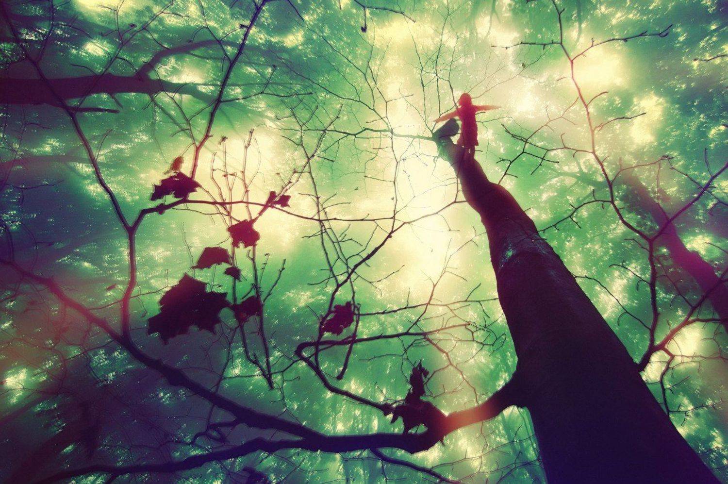 , Жибер Алексей