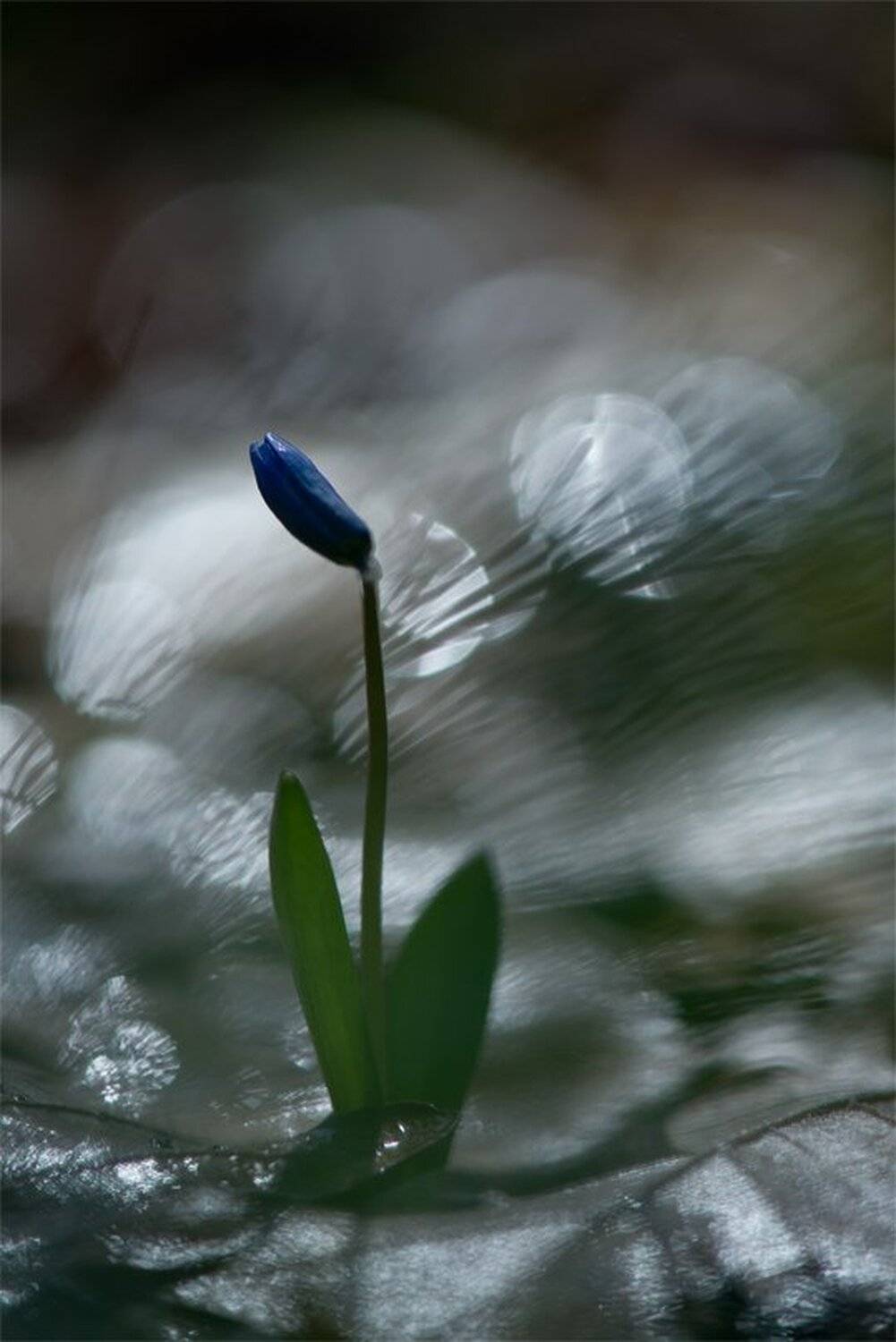 , Геннадий Мещеряков