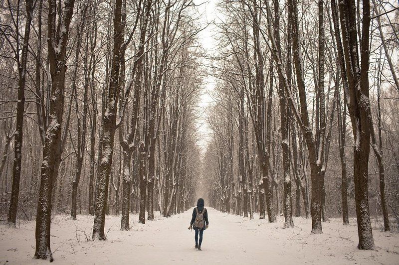 fall winter фото превью