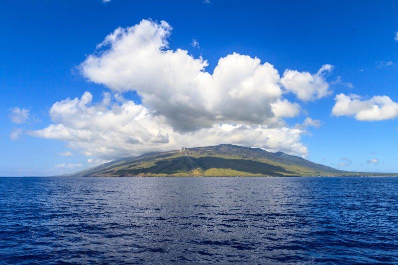 Сон в зимнюю ночь... фото превью