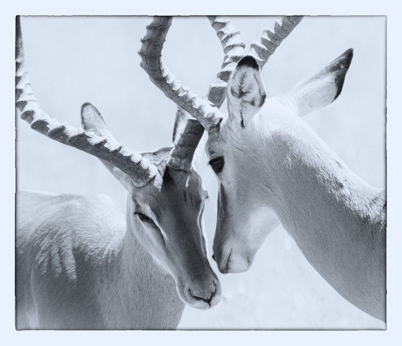 диалоги... фото превью