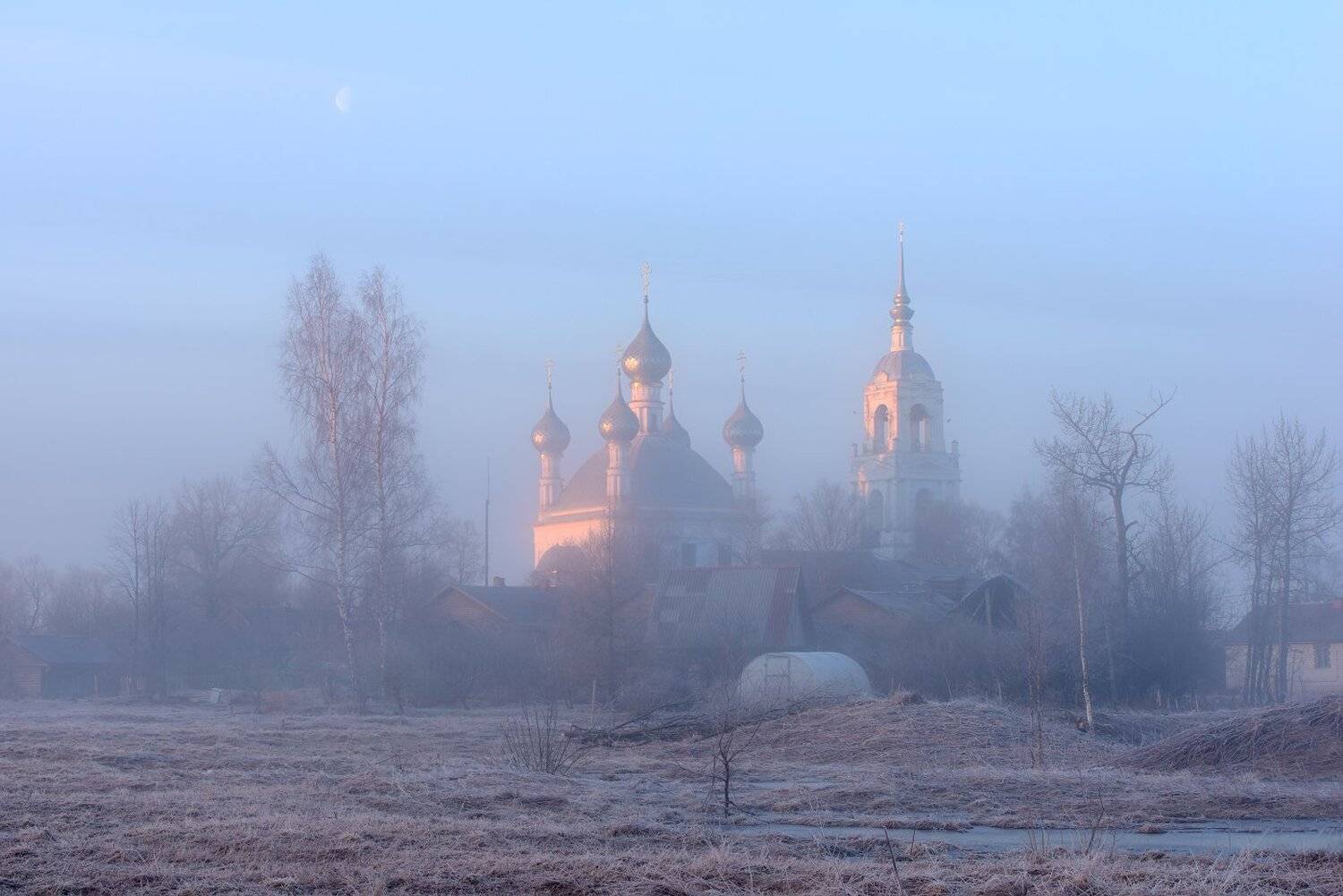 Давыдово, Максим Евдокимов