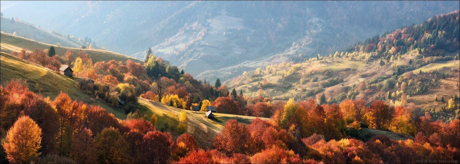 , Влад Соколовский