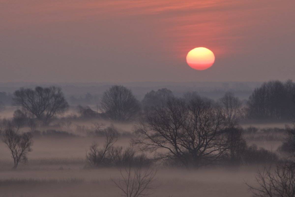 , Валерий Кондратов