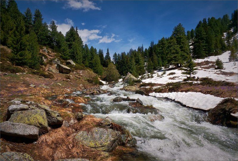 bulgaria  фото превью