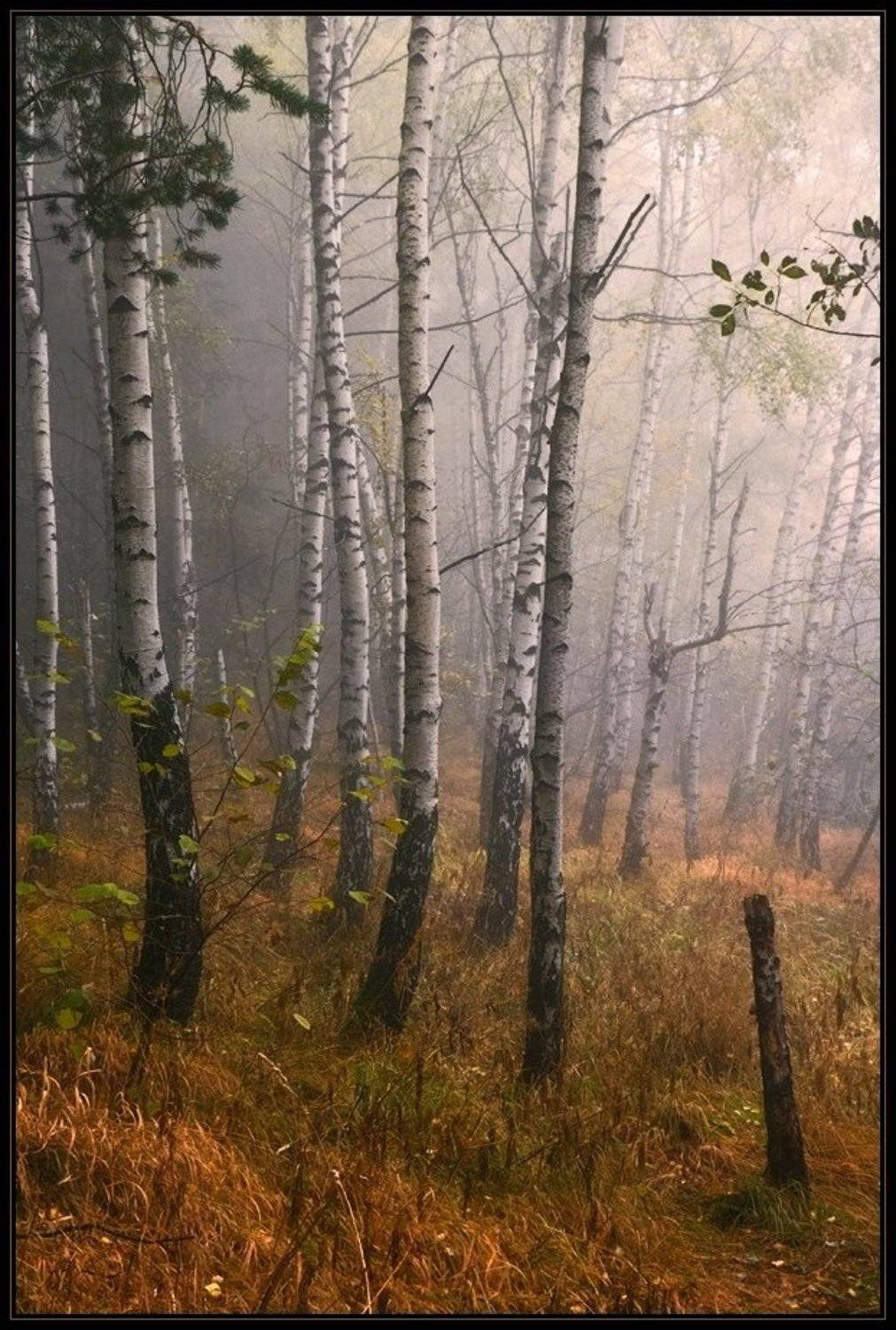 , Svetoslav Georgiev