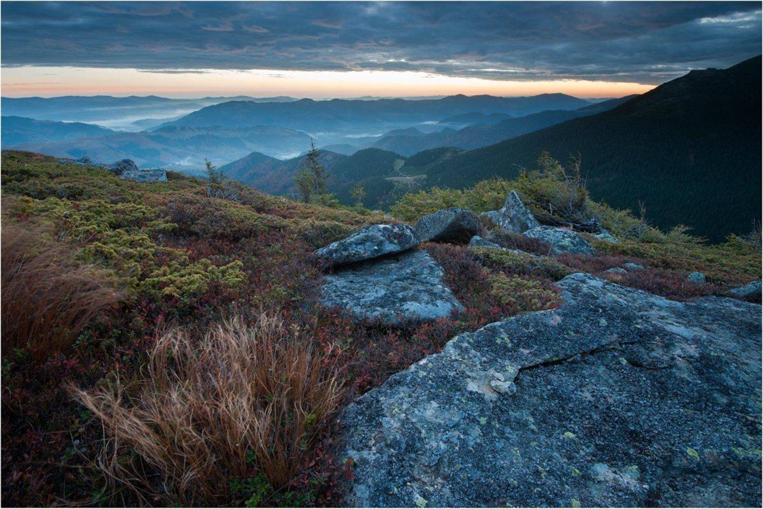 , Олег Бойко