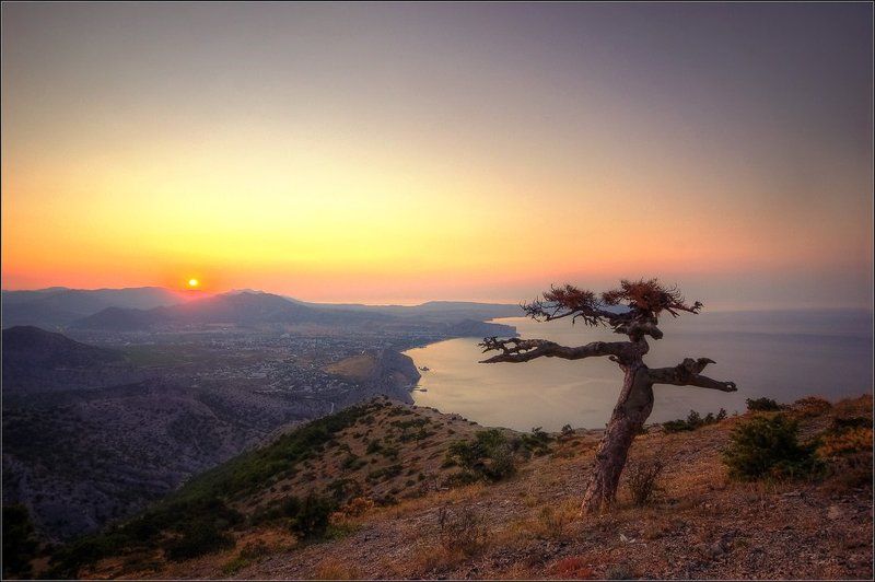 Разговор с солнцем фото превью