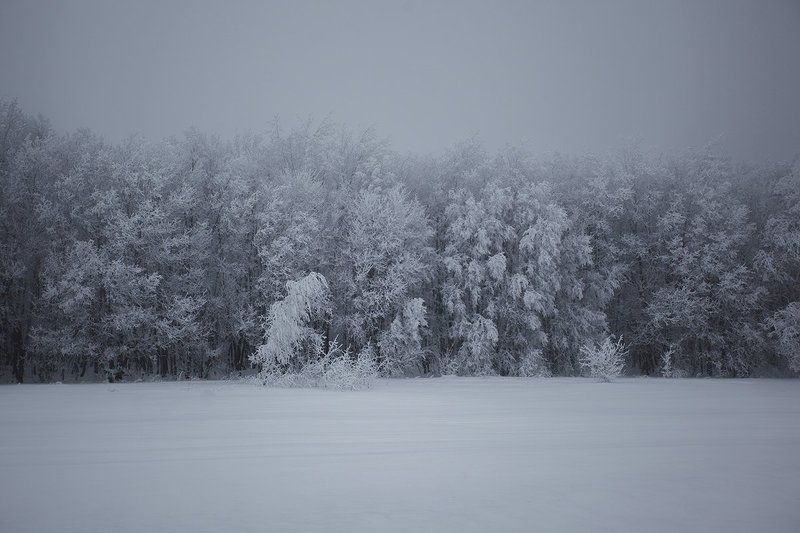 * фото превью