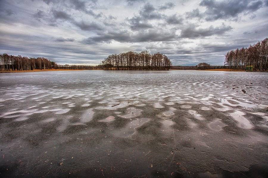 , Daiva