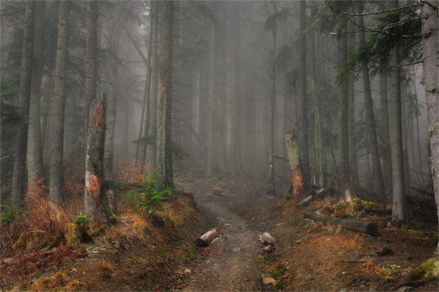 , Александр Киценко