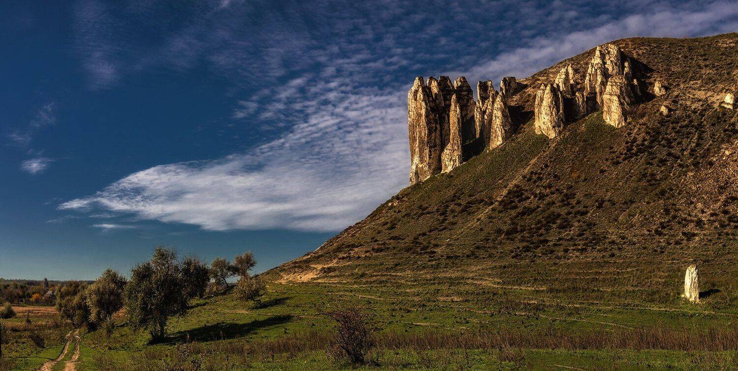 , Игорь Мелекесцев