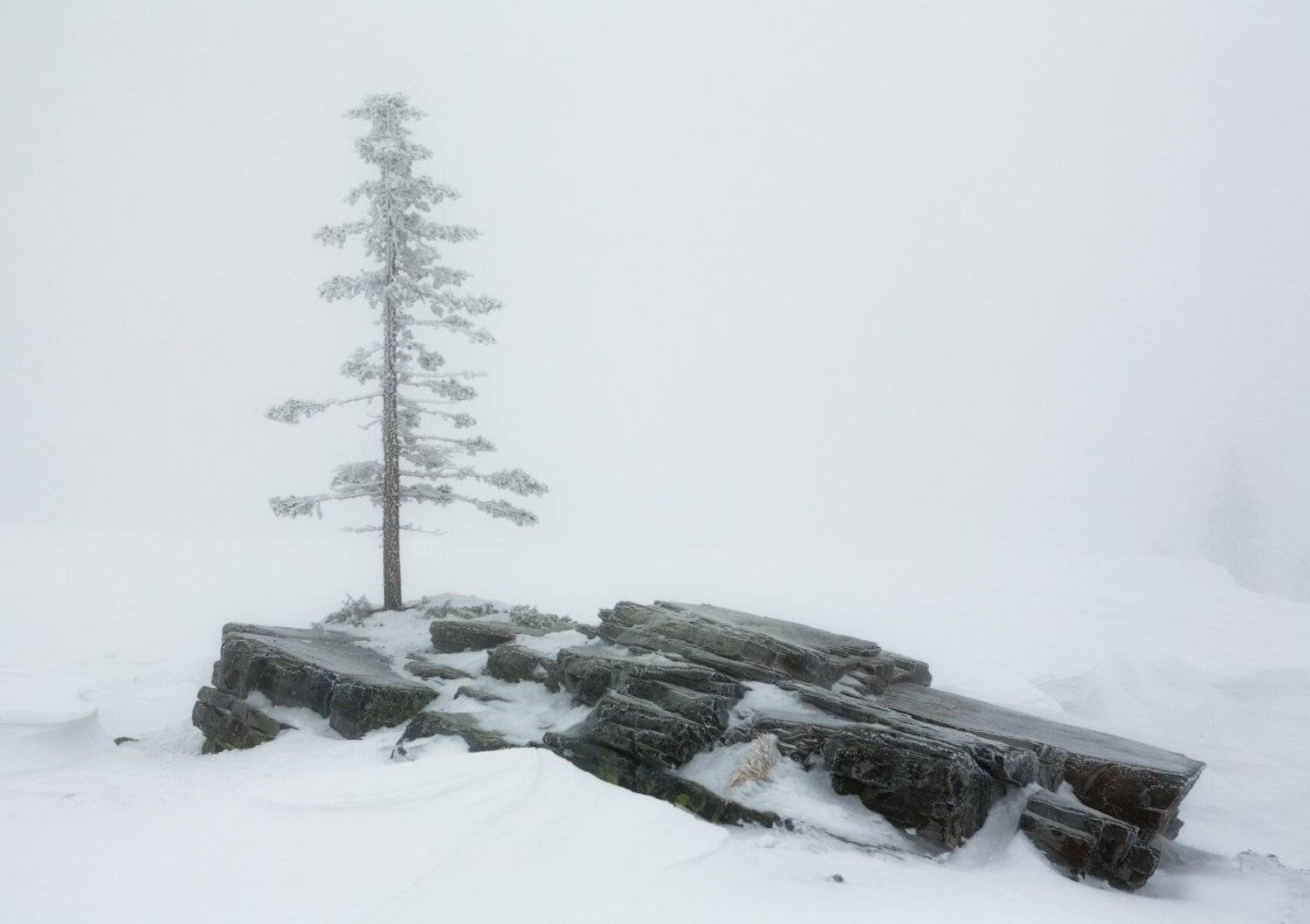 пурга, уреньга, южный урал, marateaman