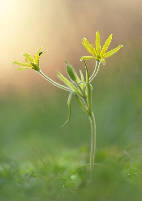 , Александр