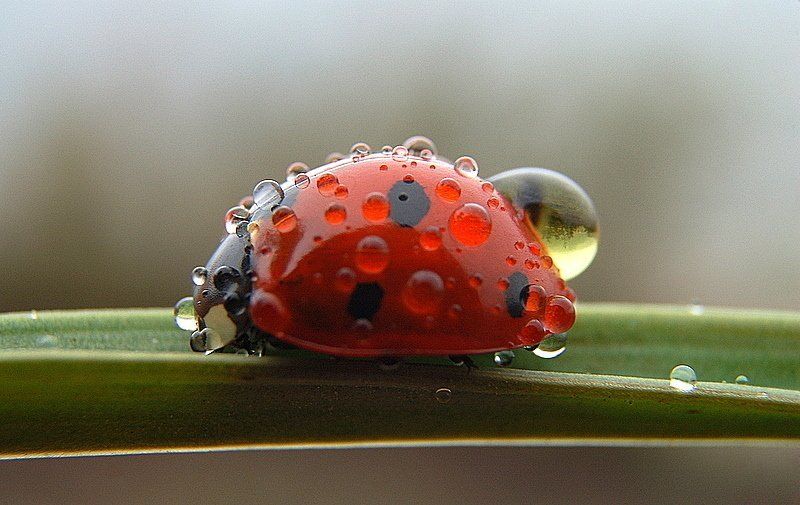 küçük öyküler фото превью