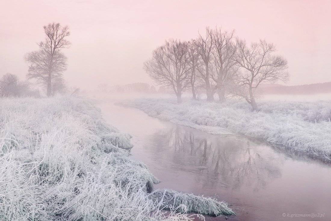 , Katarzyna Gritzmann