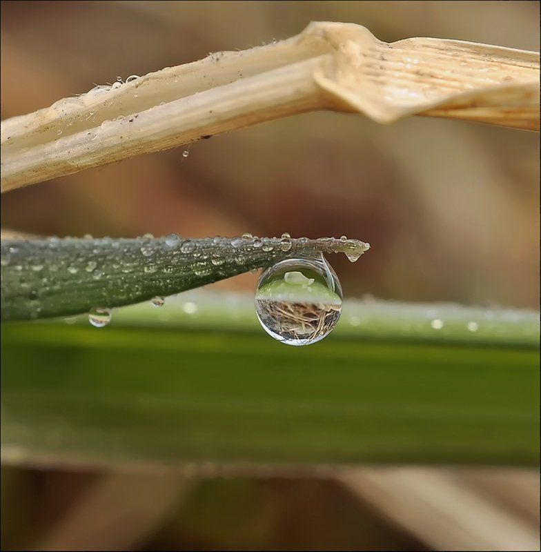 Ещё не тепло... фото превью