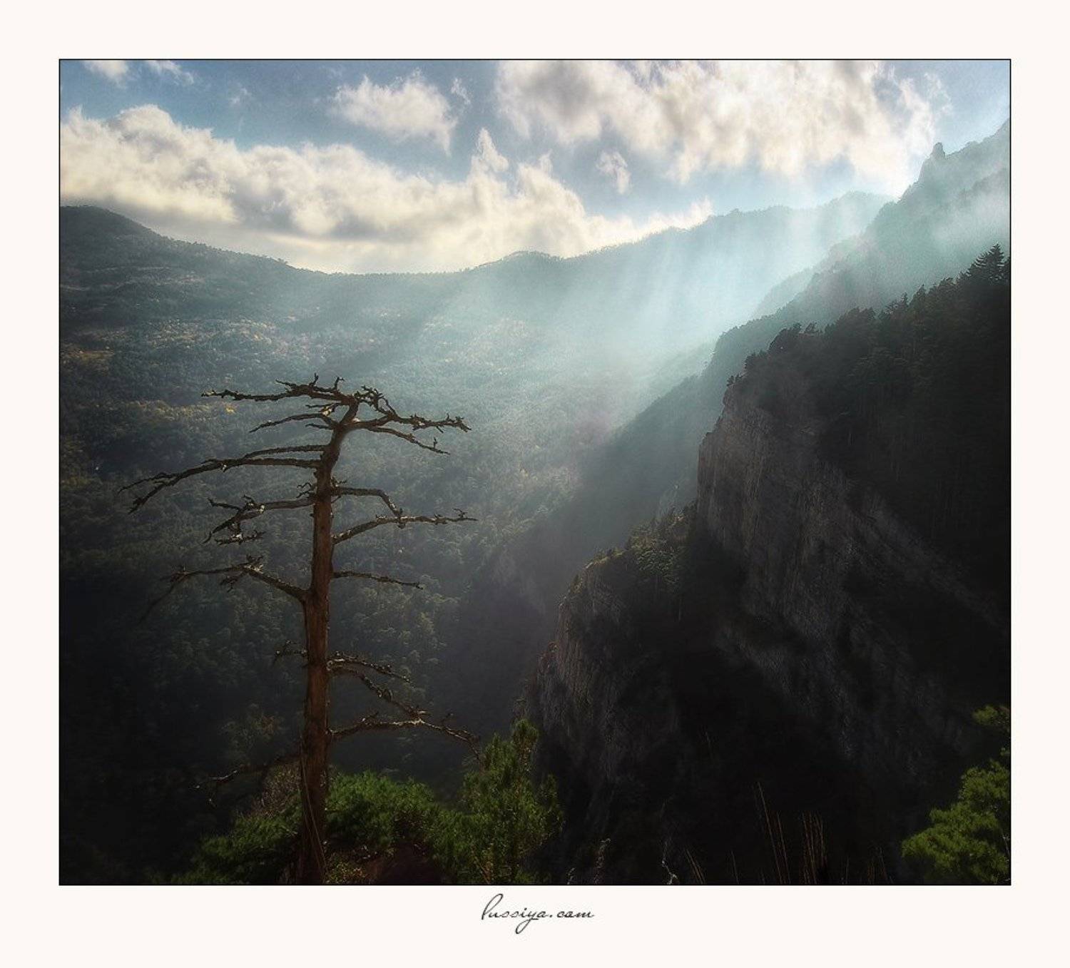 , Людмила Сиденко