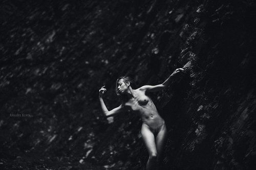 Утренняя симфония