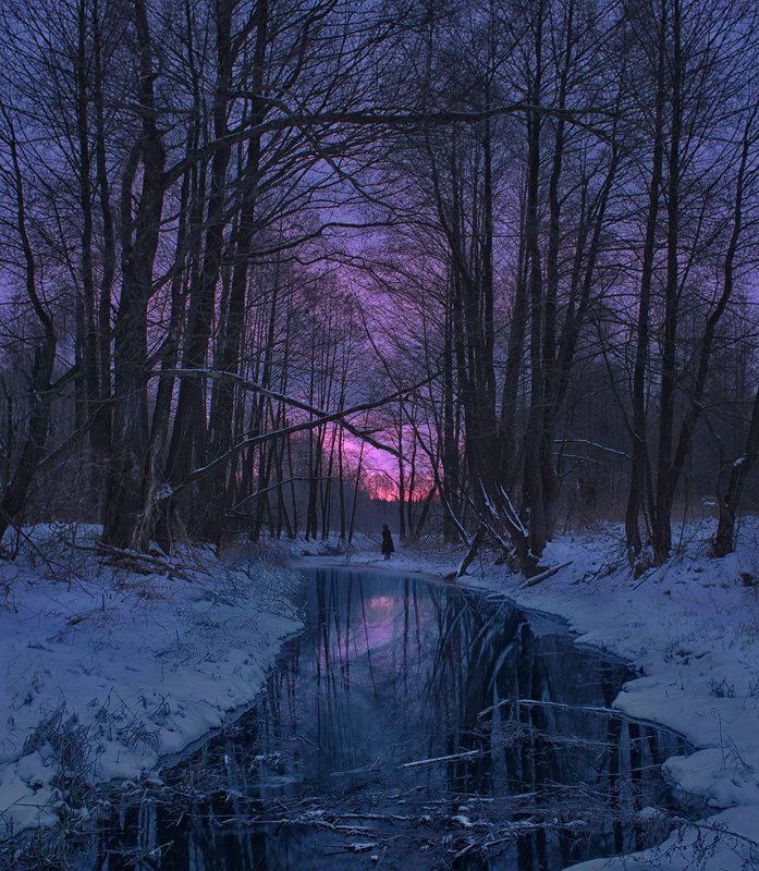 Зимнее утро. Белый Колодезь. фото превью