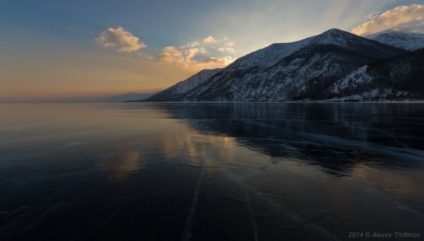 , Алексей Трофимов