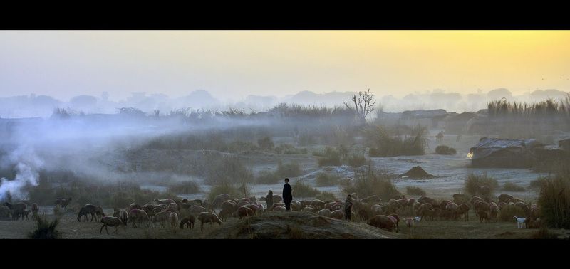 -------- фото превью