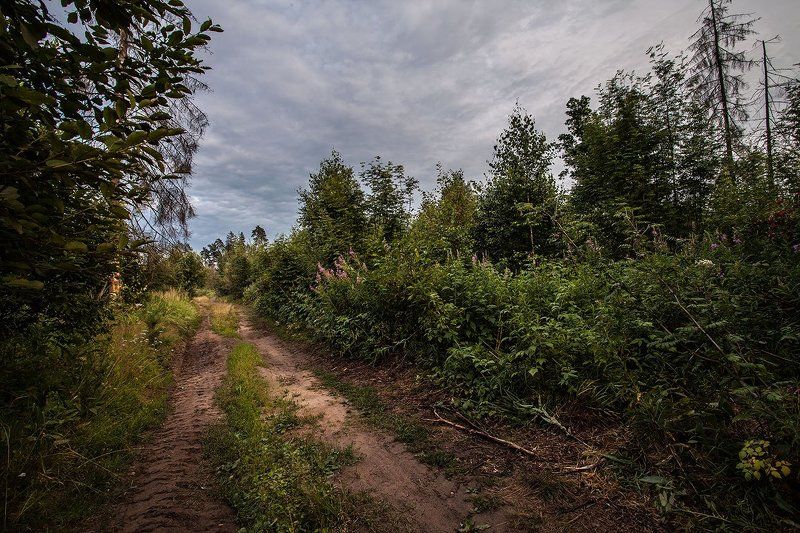 купавна., подмосковье О тёплых днях фото превью