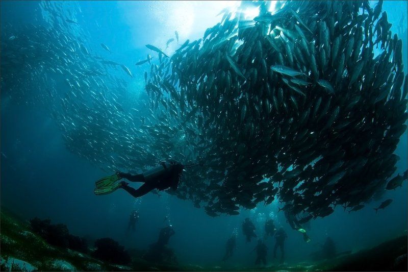 Филиппины Стенка на стенку фото превью