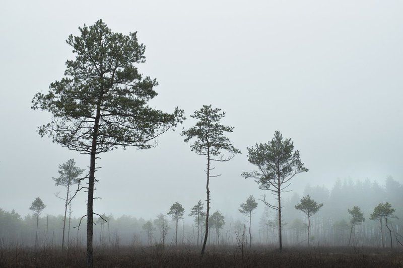 Просто тихий вечер фото превью