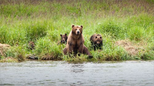 Раз в крещенский вечерок девушки гадали ...