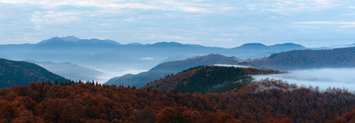 , Ярослав Тюрменко (Jaremi)