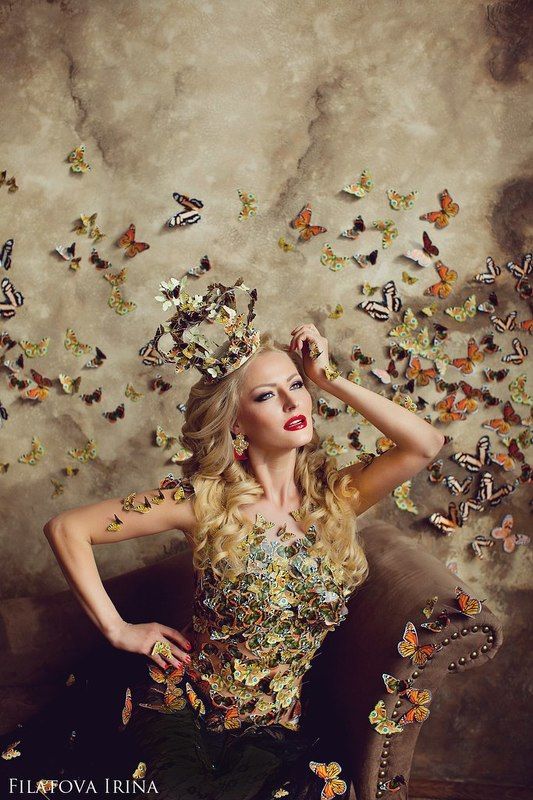 Бабочки фото превью
