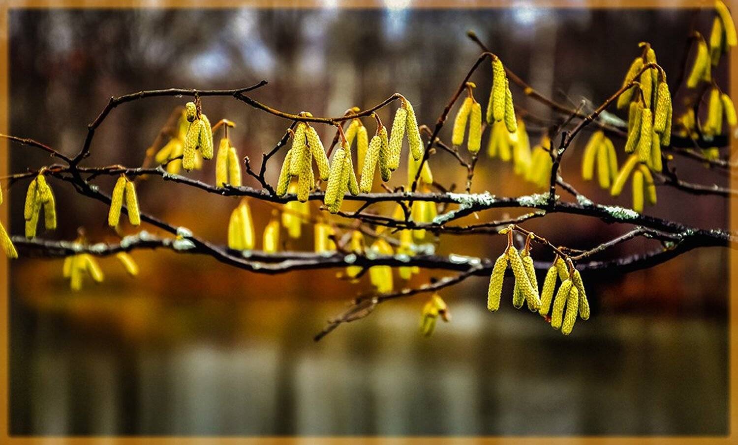 , Анатолий Зверев